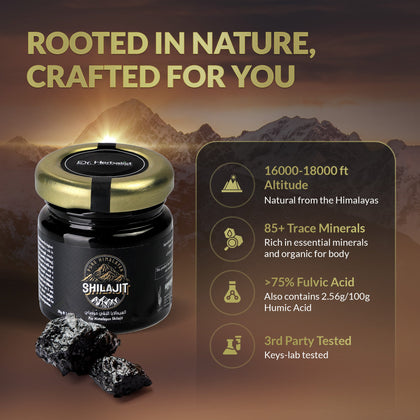 Shilajit Resin 30g - Purified Himalayan Shilajit