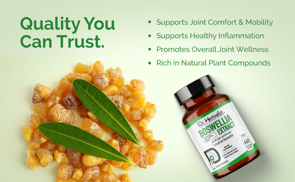 Boswellia Extract 500mg - Serrata, Indian Frankincense — feature 2