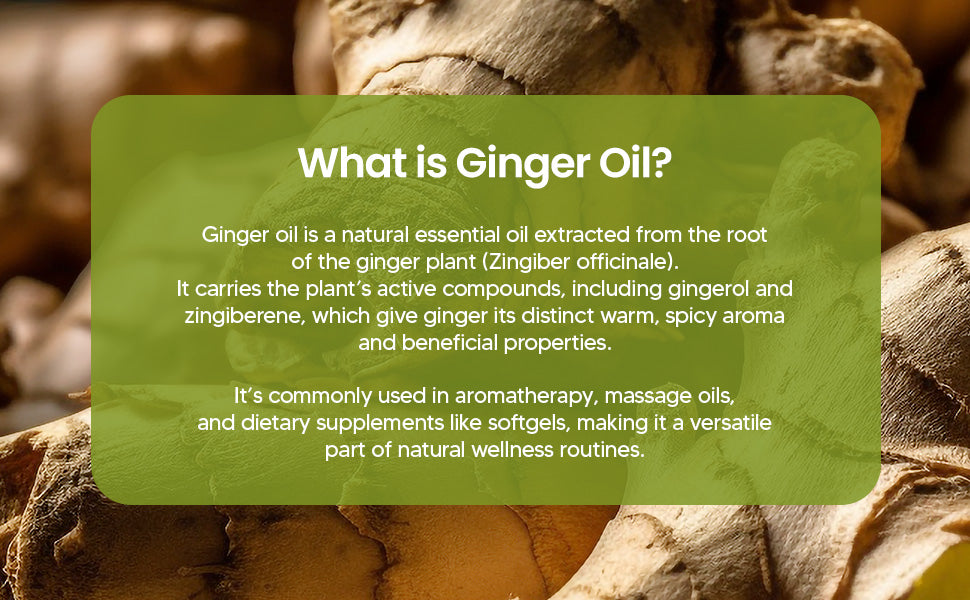 Ginger Oil Capsules 1600mg - Zingiber Officinale, No Burn | 60 Softgels — feature 6