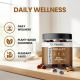 Dr. Herbalist Shilajit Gummies (60 Gummies) | Herbal Gummies for Daily Wellness view 4