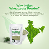 Wheat Grass Powder 200g - Triticum Aestivum view 6