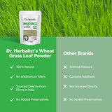Wheat Grass Powder 200g - Triticum Aestivum view 7