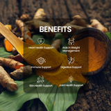 Turmeric Powder 200g - Ground Curcuma Longa (Haldi) view 2