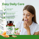 Boswellia Extract 500mg - Serrata, Indian Frankincense view 4