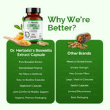 Boswellia Extract 500mg - Serrata, Indian Frankincense view 7