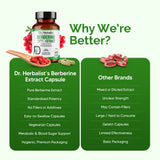 Berberine Extract 500mg - Plant Alkaloid (Berberis), 60 Capsules view 7