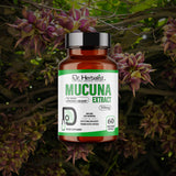Mucuna Extract Capsules 350mg — Mucuna Pruriens (Velvet Bean) | Supports Everyday Energy & Vitality | Halal, 60 Capsules view 6