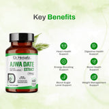 Ajwa Date Extract 350mg - Phoenix Dactylifera Capsules view 7