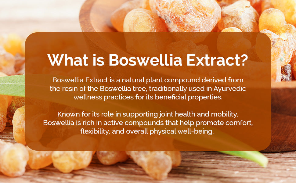 Boswellia Extract 500mg - Serrata, Indian Frankincense — feature 6