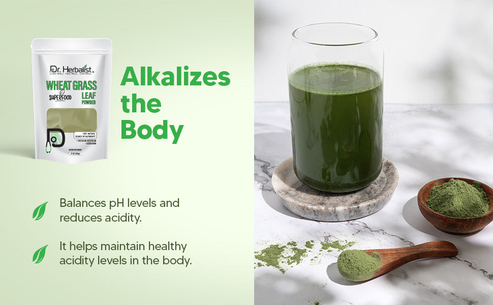 Wheat Grass Powder 200g - Triticum Aestivum — feature 4