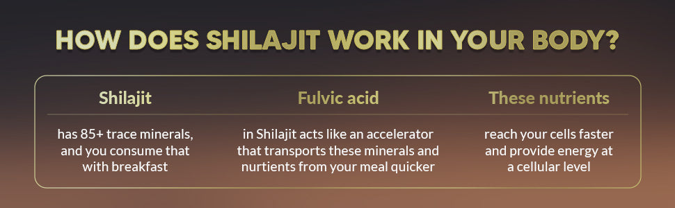 Shilajit Resin 30g - Purified Himalayan Shilajit — feature 5